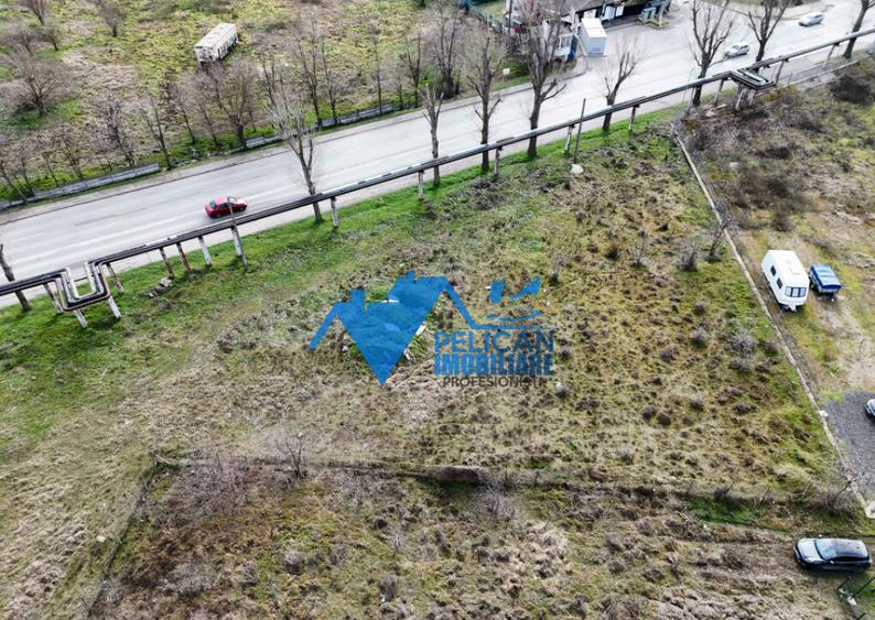 Teren intravilan - Str. Isaccei, 1000MP - 8