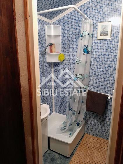 Cabană cu teren și pomi fructiferi Tropinii Noi ,Sibiu - 10