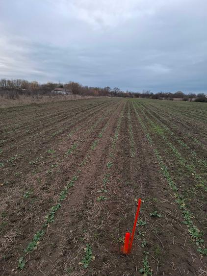 Teren Intravilan de Vanzare - 2