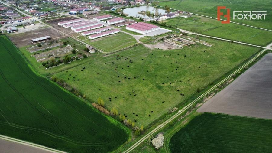 Teren Construcții intravilan de 58340 mp, în Sânmartinu Sârbesc