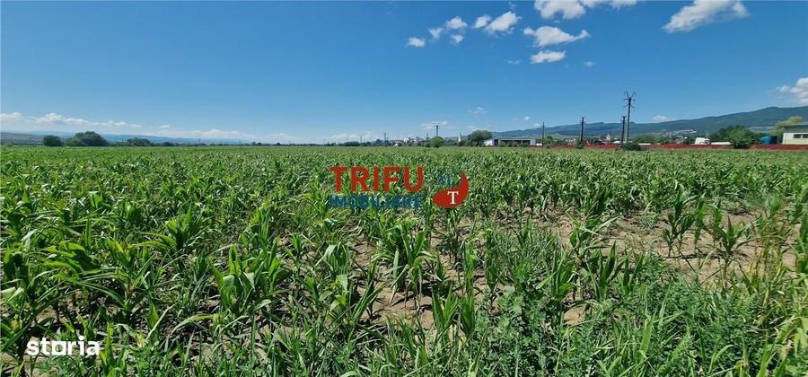 Teren de vanzare langa soseaua de centura, 5100 mp - 1