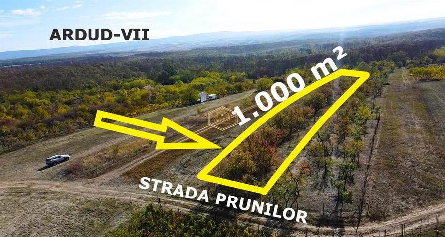 Teren Construcții intravilan de 1000 mp, în Sud