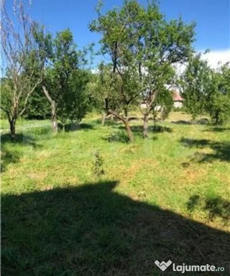 Casă cu 3 camere cu Teren 500 Mp în Industrială