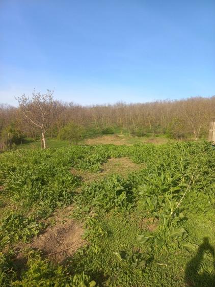 Casă cu 3 camere în Rusca