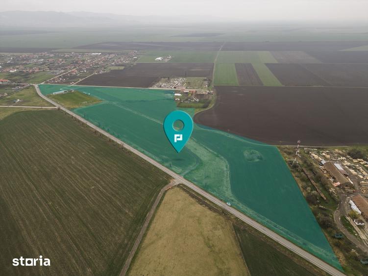 Teren 76.000mp intre Santana ?i Caporal Alexa - 1