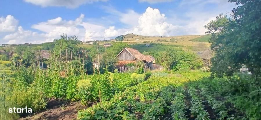 Casă cu 3 camere în Mihai Viteazu