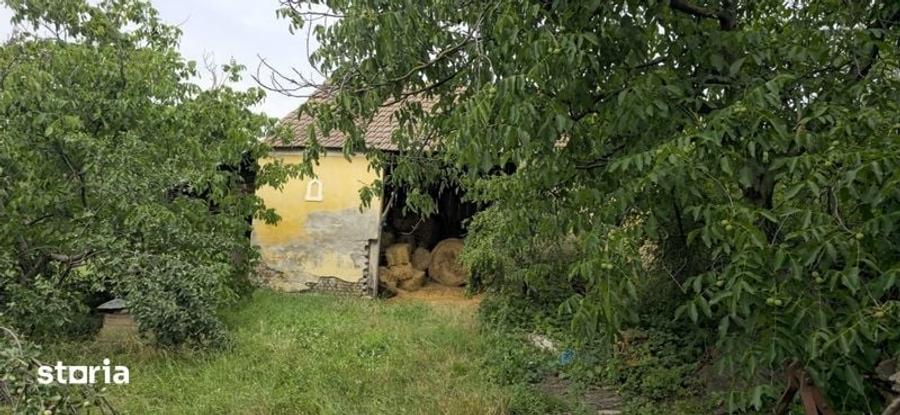 Casa si teren de vanzare - 3