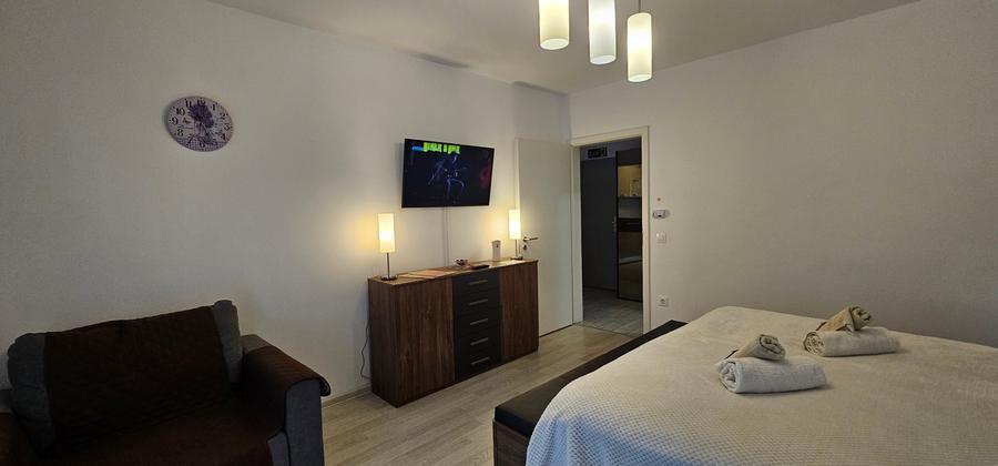 Garsoniera de inchiriat decomandata zona Avatgarden Bartolomeu - 9