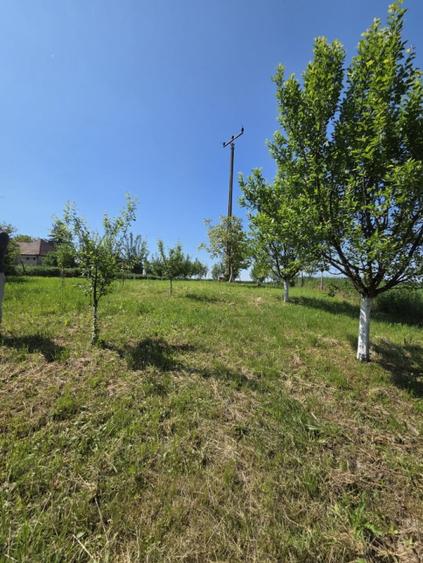 Casa de vanzare in Odoreu - 11