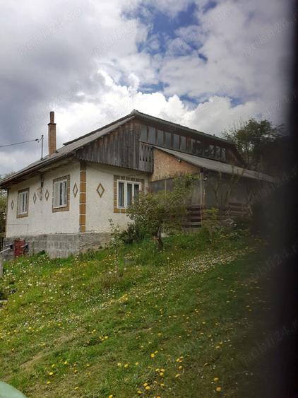 Vand casa cu teren - 6