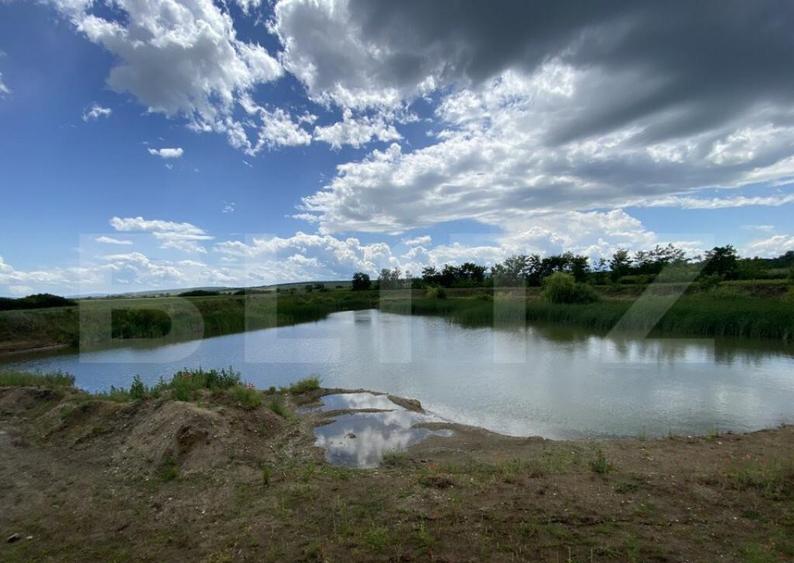 Teren extravilan 10000 mp, cu balta de peste, Salaj, Sarmasa - 2