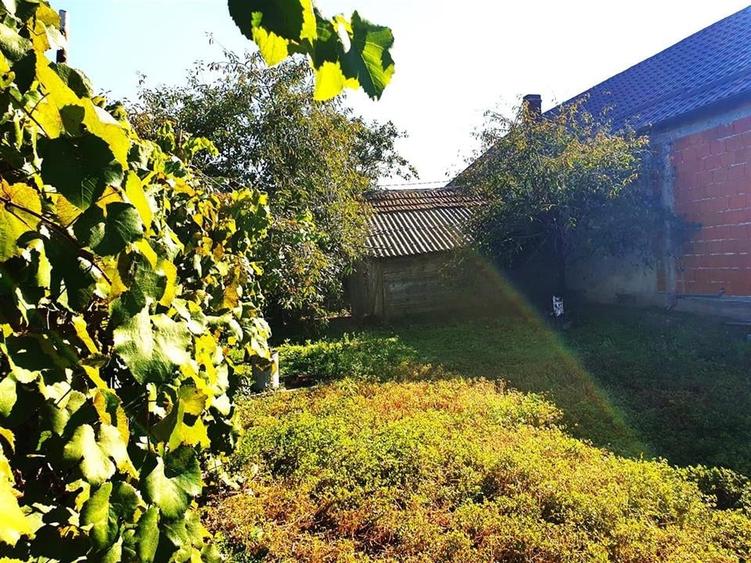 Casa cu teren in Cefa cu dublu front stradal - 11