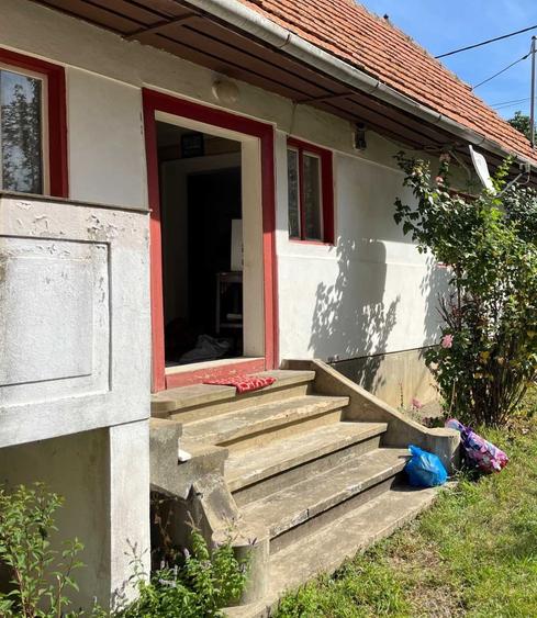 Casa 2 camere PURCARENI - 4