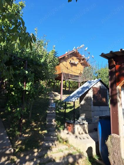 Vanzare Casa Vila Catamaresti-Deal, Botosani - 10