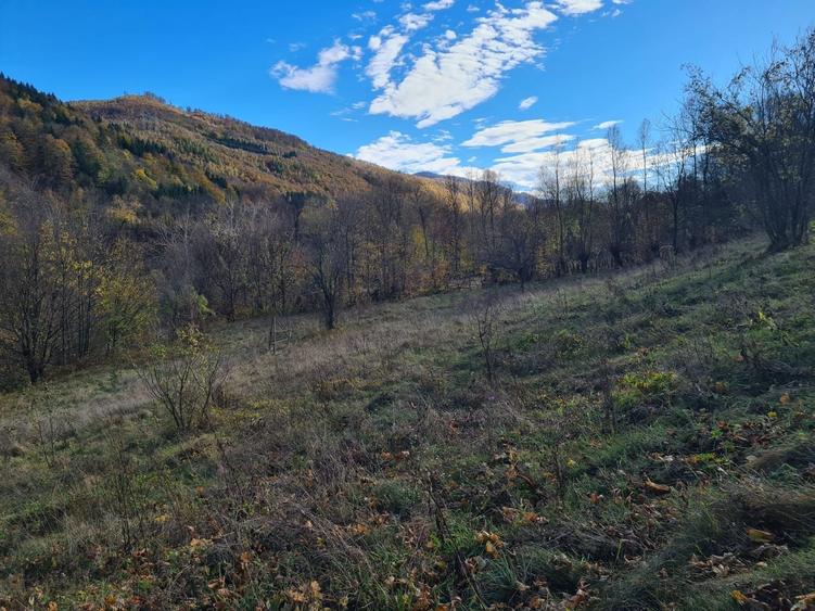Vand teren Valea Doftanei in coada lacului Paltinu - 9