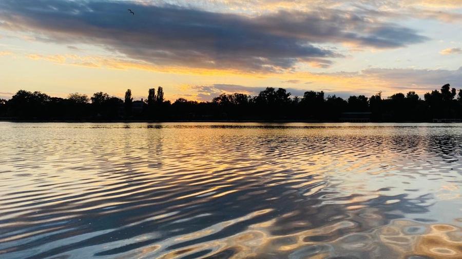 Apartament 5 camere cu vedere lac | One Floreasca Lake | Aviatiei - 8