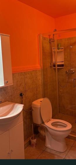 Apartament 2 camere- Bartolomeu- Lanii - 3