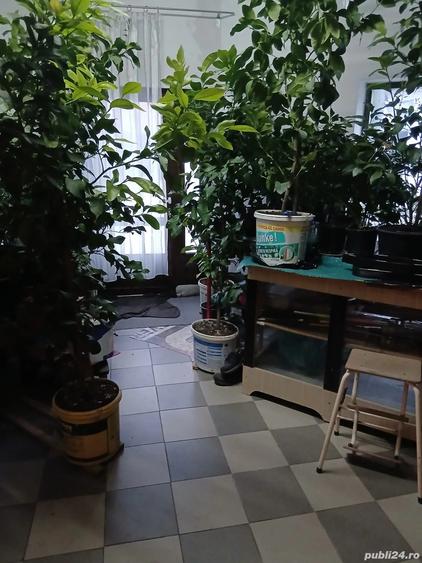 Casa de locuit sau pentru spatiu comercial - 1