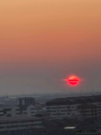 Garsonierea de inchiriat Pollux Residence - 5