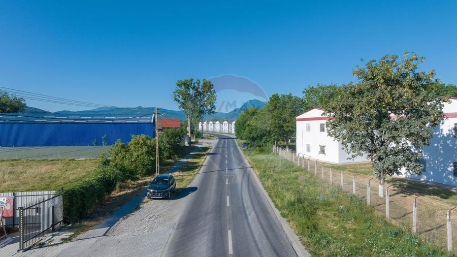 Teren industrial 4,400mp Carpinis / DJ 112D, - 9