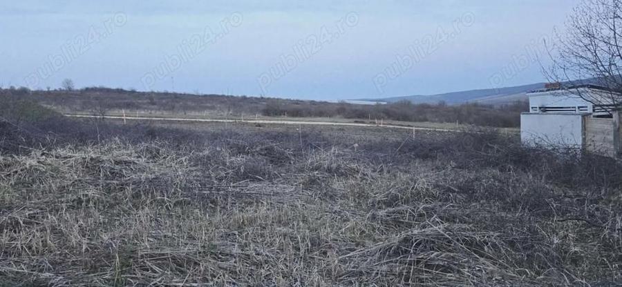 Teren de vanzare, loc. Paleu - 5