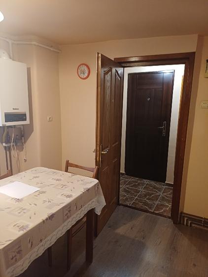 Apartament 2 camere-la vila- ultracentral- langa Aula Universitatii  - 8