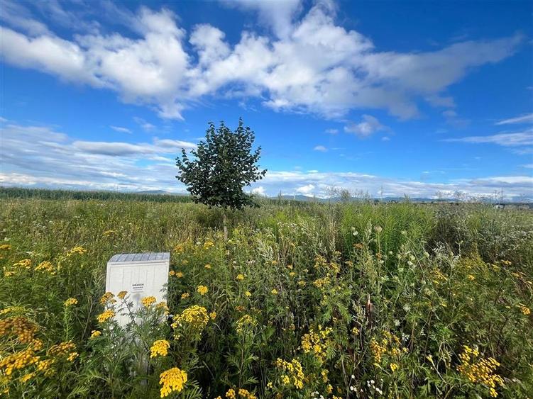 TEREN INTRAVILAN, 500 MP, HARMAN - 1