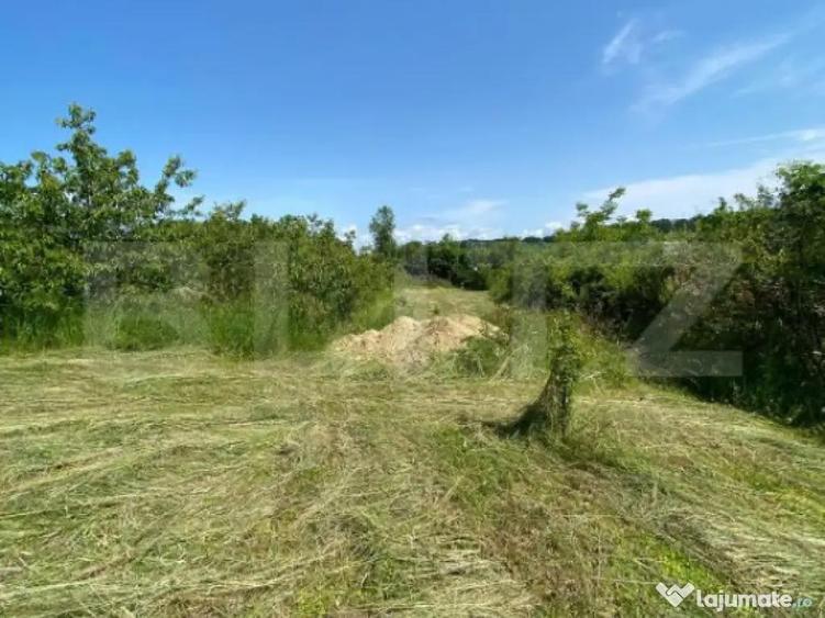 Teren intravilan de vanzare 30 ari Zona Podul Jelne - 4