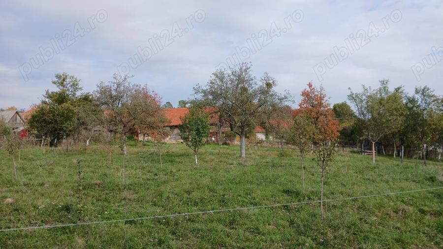 Loc de casa cu livada ?i corp de cladire - 6