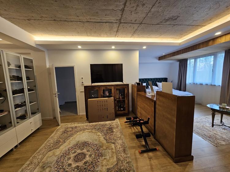 TINERETULUI- SERBAN VODA Vila p+ 1+2 , de inchiriat 5 camere-2600euro - 9