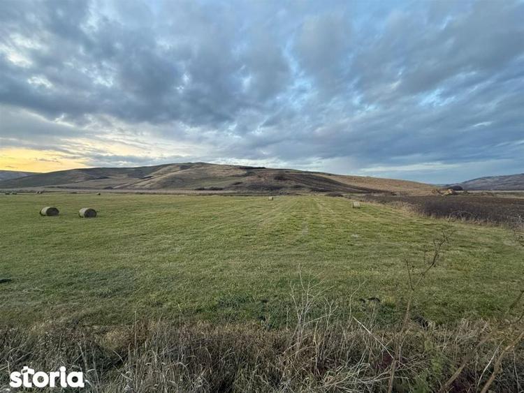 Teren Extravilan I 6000 Mp I Acces la drum | Cojocna - 1