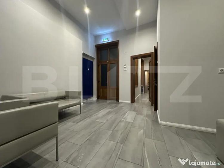 Spa?iu Birou Elegant de Inchiriat, Palatul Stern, 1 camera - 3