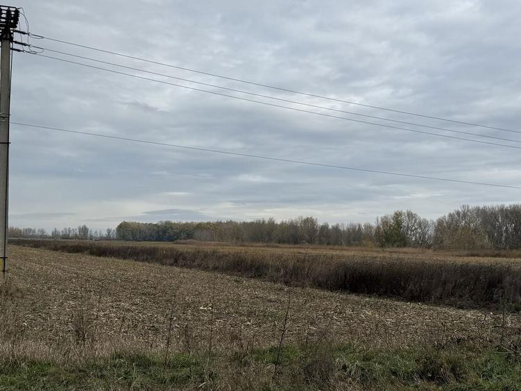 Teren de vanzare - 6