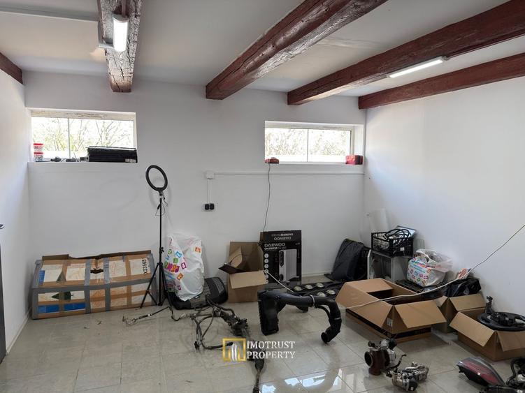 Hala + teren de închiriat pentru service auto / dezmembrări / depozit - 7