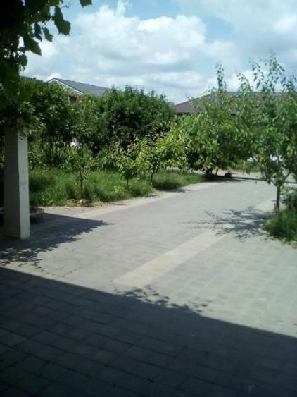 Inchiriez  4600 m teren ieftin - 1