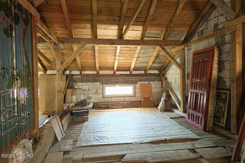 Lunei - Ion Neculce, 2 Apartamente. Mansarda 157 mp. Anexe, Lot 475 mp - 37