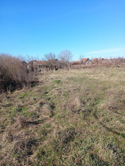 Vand teren intravilan in ianosda - 4