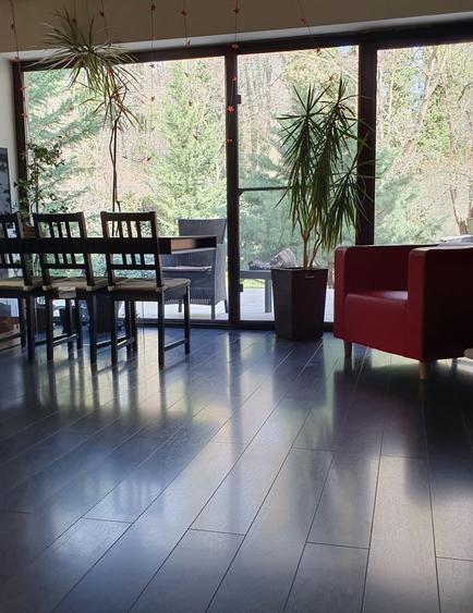 Vanzare vila 5 camere | Langa padure | Bucuresti | Baneasa - 5