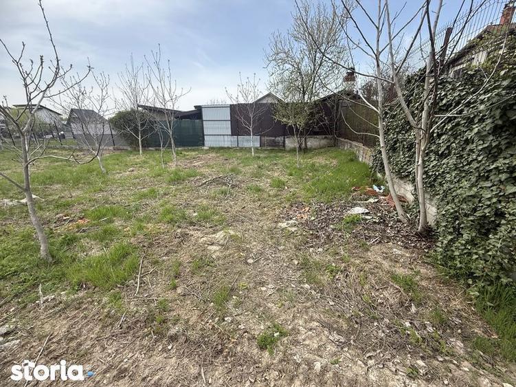 Teren Domnesti 840mp - 4