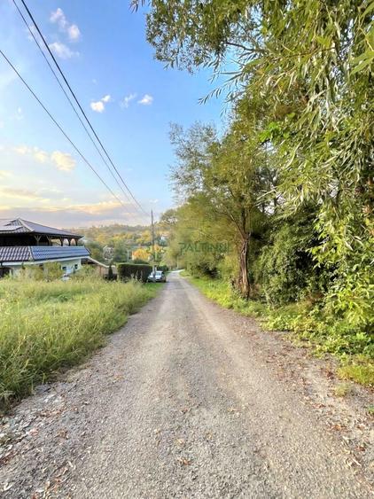 Teren de vânzare Cisnădioara – 2 parcele a câte 1.250 mp, utilități pe teren - 7