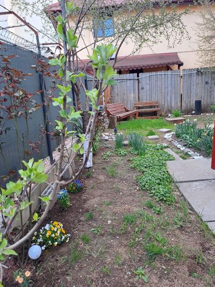 Apartament 3camere+curte+terasa din lemn - 2