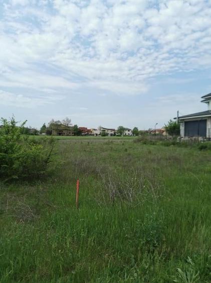 Corbeanca Padure Teren 1000mp - 2