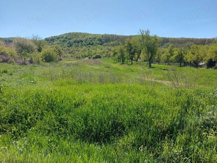 Teren 5,70 ha intravilan+extravilan, Vladimir-Andreesti , Jud.Gorj - 10