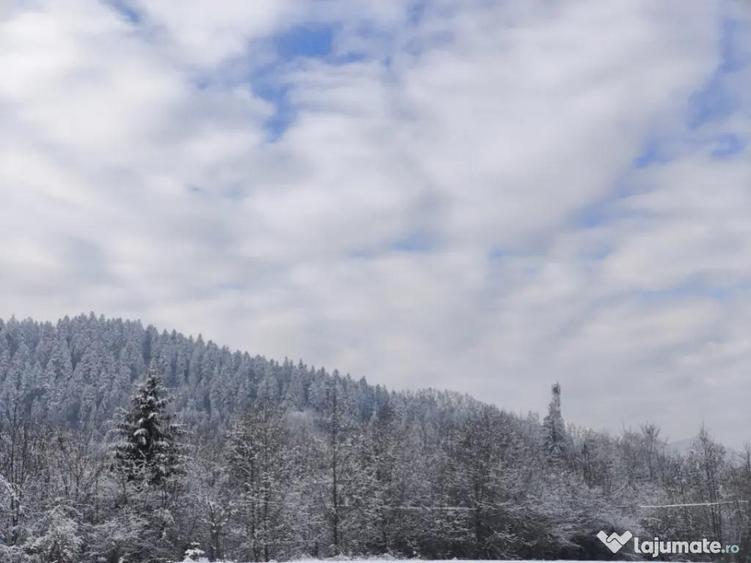 Teren intravilan, 22600mp, zona Manastirea Sucevita - 8