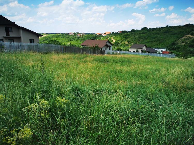 Teren intravilen 2600 mp pe str Livezilor - 1