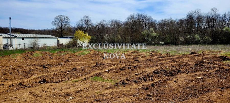 0% ! Teren INTRAVILAN Padurea Cernica 4900-9800MP INTRAVILAN - 5