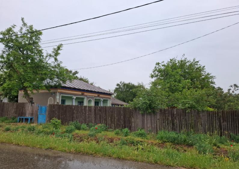 Casa in Sat Segarcea Deal jud. Teleorman - 5