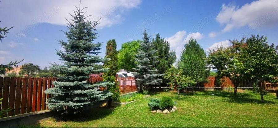 Casa individuala Gilau - 7