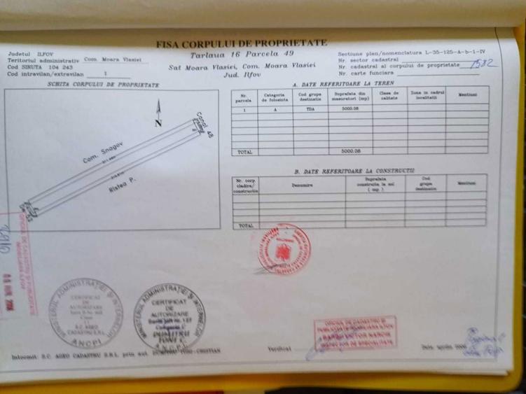 5000 mp langa padure - 3