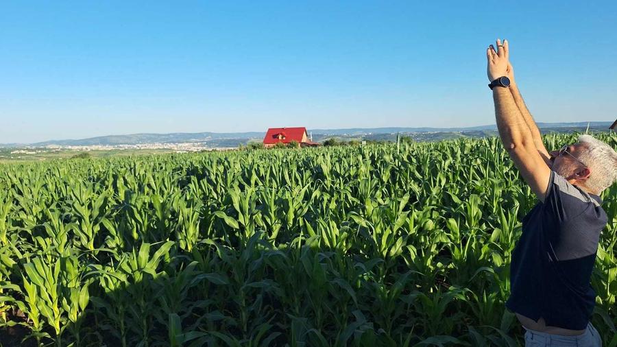 Terenuri de vanzare intravilan Rediu - 1511 mp - 5